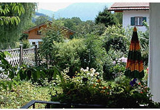 Ausblick in den Garten Ausblick in den Garten