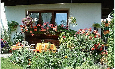 Garten vor der Wohnung